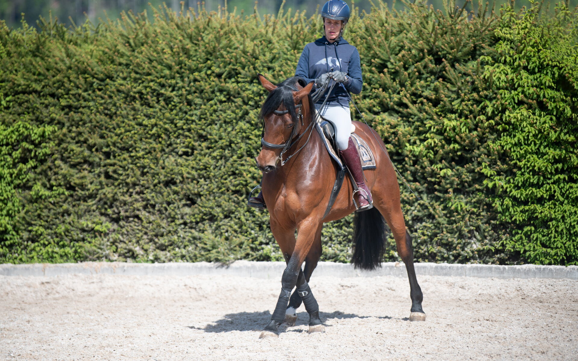Petra Maurer mit Pferd